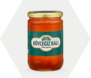 Çam Balı