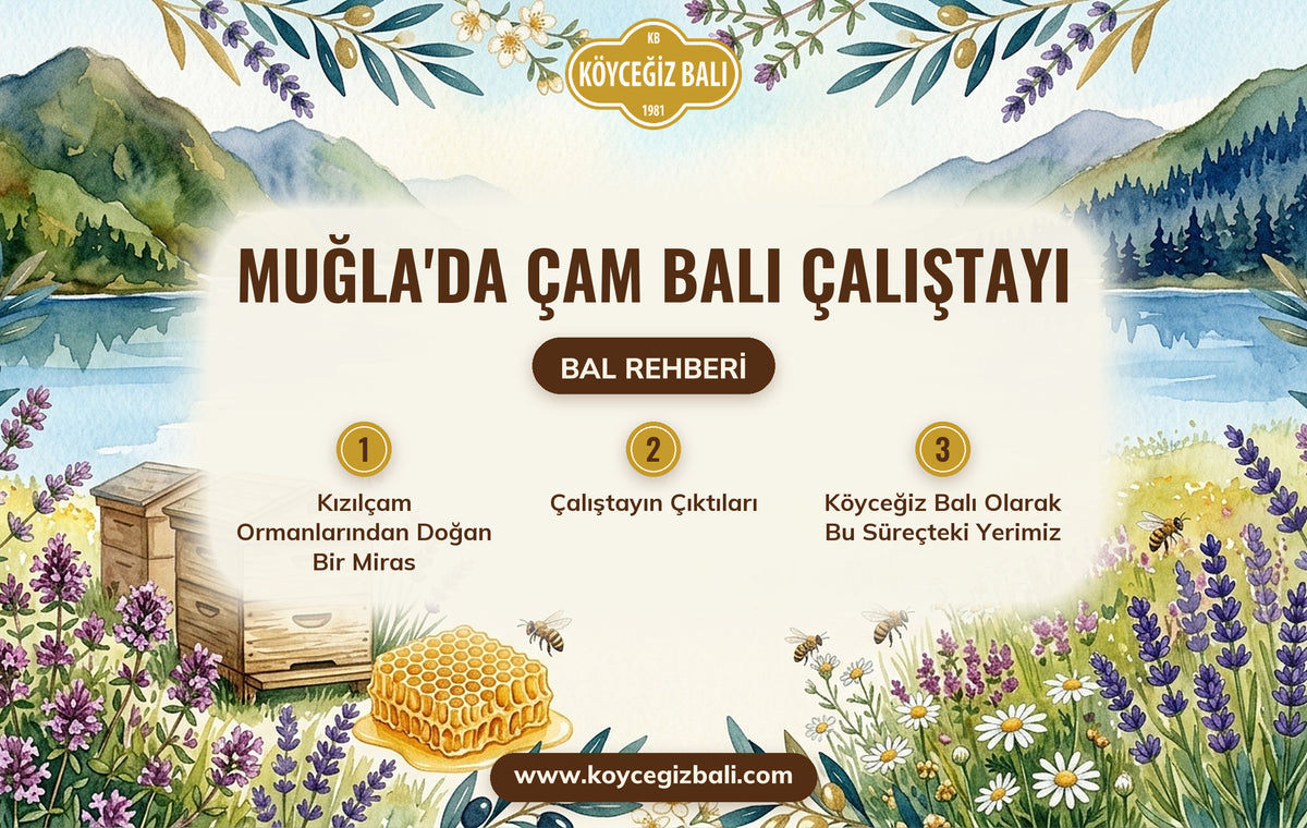 Muğla'da Çam Balı Çalıştayı: Sürdürülebilir Üretim ve Coğrafi İşaret Yol Haritası