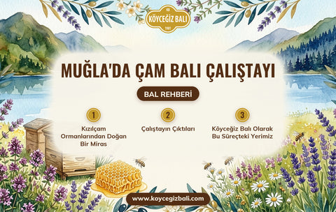 Muğla'da Çam Balı Çalıştayı: Sürdürülebilir Üretim ve Coğrafi İşaret Yol Haritası