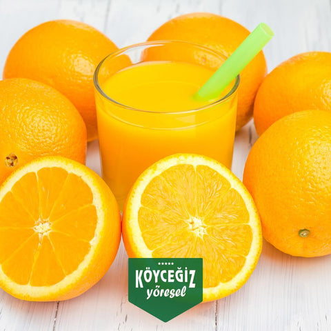Kb Köyceğiz Yöresel Köyceğiz Portakalı Valensiya Sıkmalık 8 Kg