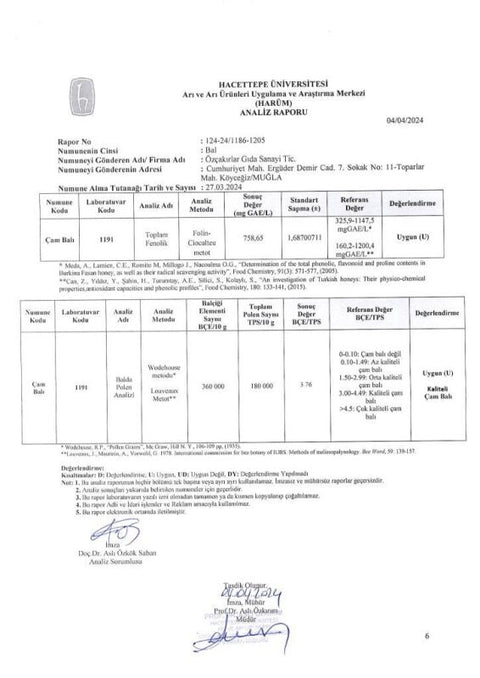 Kb Köyceğiz Balı Çam Balı 280 G Çıt Kapak