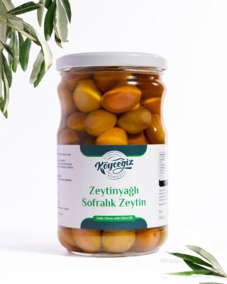Kb Köyceğiz Yöresel Ekincik Sofralık Zeytin 600 G - Kb Köyceğiz Yöresel