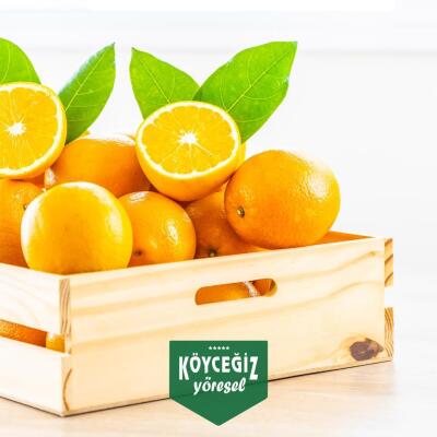 Kb Köyceğiz Yöresel Köyceğiz Portakalı 8 Kg - Köyceğiz Yöresel